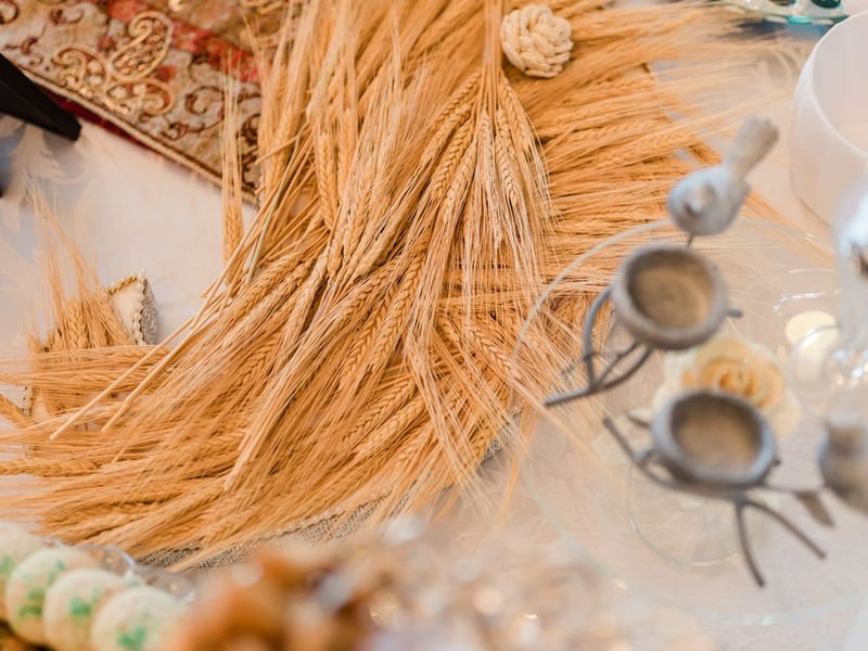 Bride and groom during their bilingual Persian ceremony